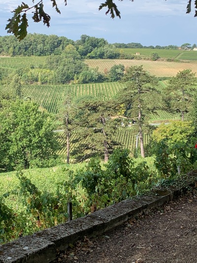picture of Chateau Pressac St Emilion
 France