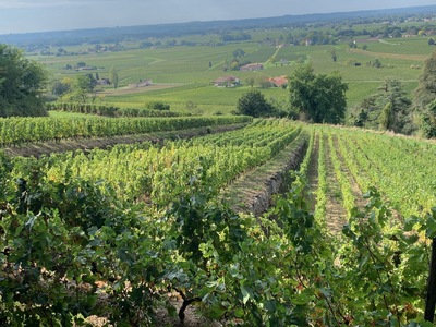 picture of Chateau Pressac St Emilion
 France
