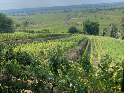 picture of Chateau Pressac St Emilion
 France
