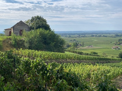 picture of Chateau Pressac St Emilion
 France