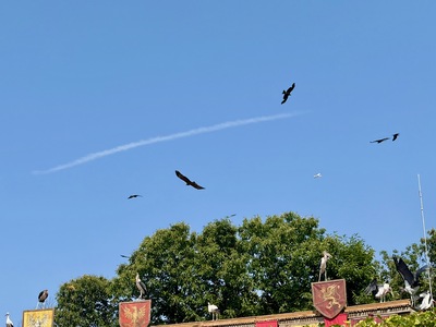 picture of Puy du Fou 2026
 France
