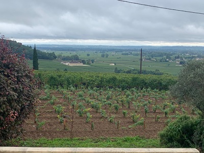 picture of St Emilion
 France