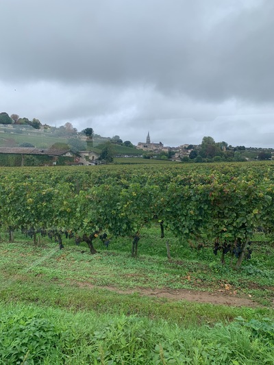 picture of St Emilion
 France