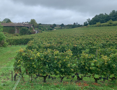picture of St Emilion
 France