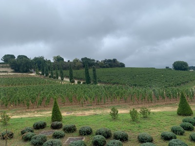 picture of St Emilion
 France