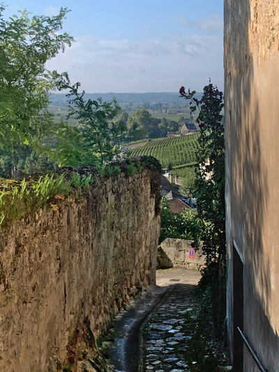 picture of St Emilion
 France
