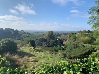 picture of St Emilion
 France