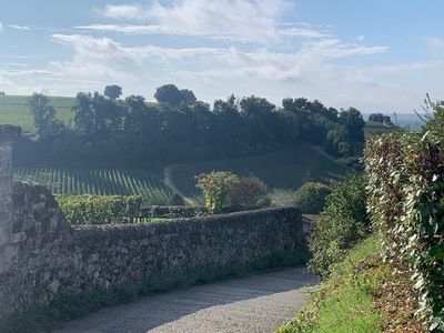 picture of St Emilion
 France