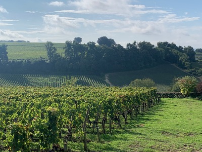 picture of St Emilion
 France