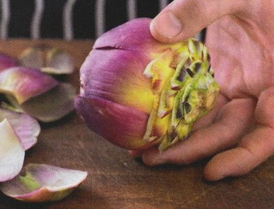 picture of Process a globe artichoke
 HowTos