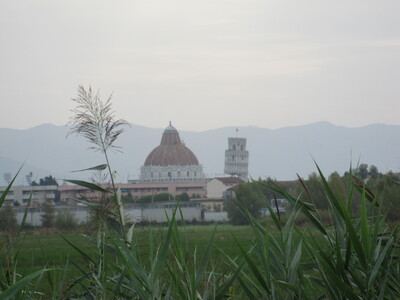 picture of Pisa
 Italy