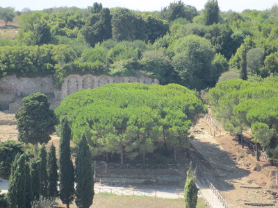 picture of Populonia
 Italy