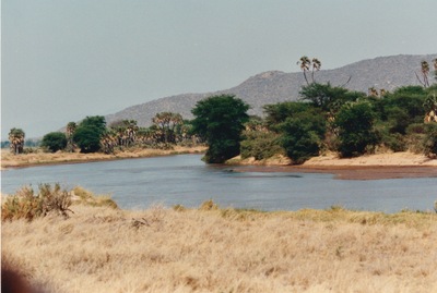 picture of Buffalo Springs
 Kenya