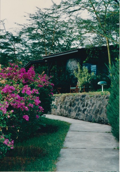 picture of The Masai Mara Reserve
 Kenya