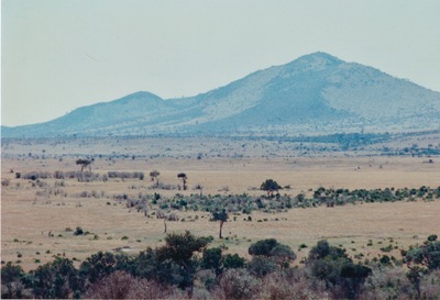 picture of The Masai Mara Reserve
 Kenya