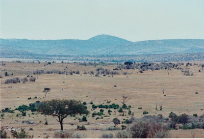 picture of The Masai Mara Reserve
 Kenya