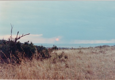 picture of The Masai Mara Reserve
 Kenya