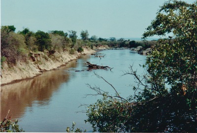 picture of The Masai Mara Reserve
 Kenya