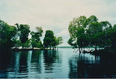 picture of Midi Creek
 Kenya