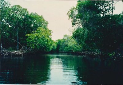 picture of Midi Creek
 Kenya