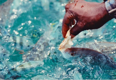 picture of Midi Creek
 Kenya