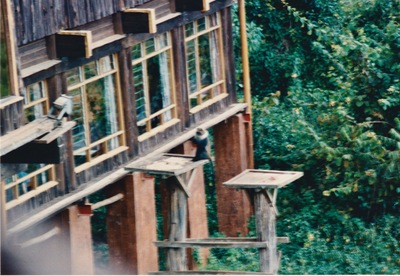 picture of Mountain Lodge
 Kenya