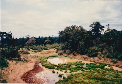 picture of Mountain Lodge
 Kenya