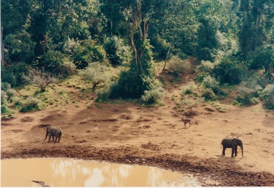 picture of Mountain Lodge
 Kenya