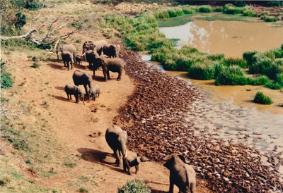picture of Mountain Lodge
 Kenya