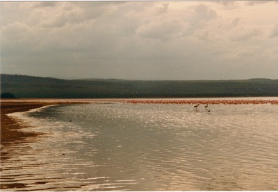 picture of Lake Nakuru
 Kenya