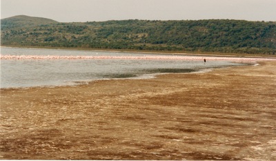 picture of Lake Nakuru
 Kenya