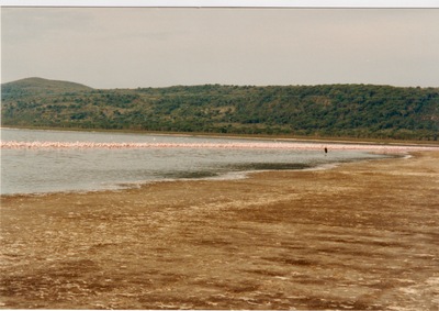 picture of Lake Nakuru
 Kenya