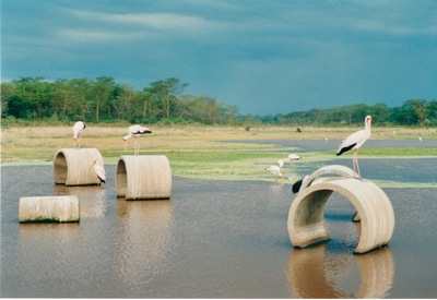picture of Lake Nakuru
 Kenya