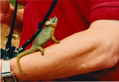 picture of Thompsons Falls
 Kenya