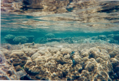 picture of Watamu
 Kenya