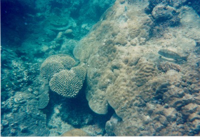 picture of Watamu
 Kenya