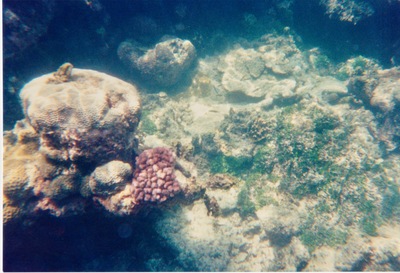 picture of Watamu
 Kenya