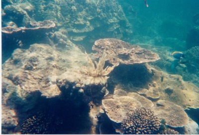 picture of Watamu
 Kenya