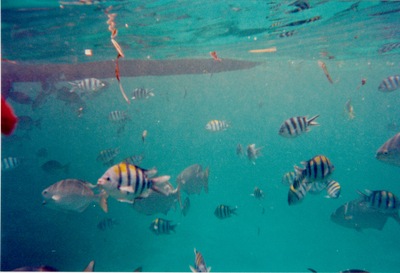 picture of Watamu
 Kenya