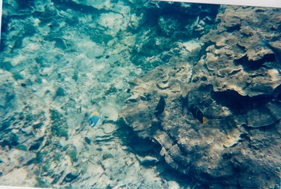 picture of Watamu
 Kenya