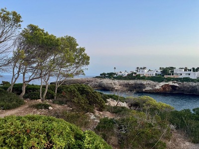 picture of Cala D'or
 Majorca