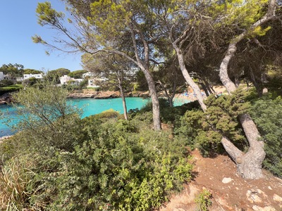 picture of Cala D'or
 Majorca