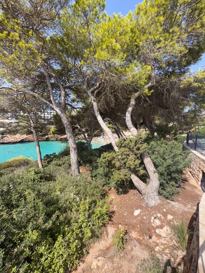 picture of Cala D'or
 Majorca