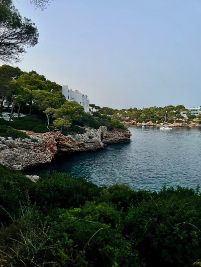 picture of Cala D'or
 Majorca
