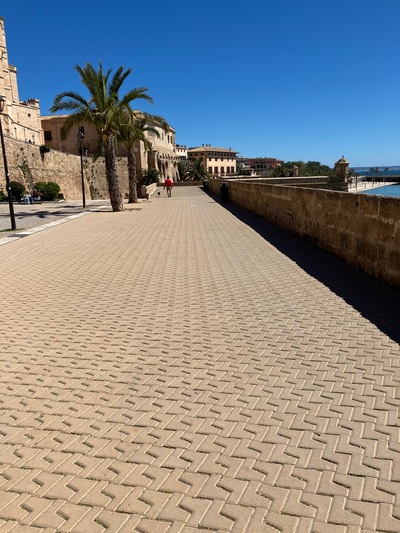 picture of Palma
 Majorca