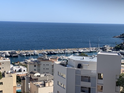 picture of Palma 2026
 Majorca