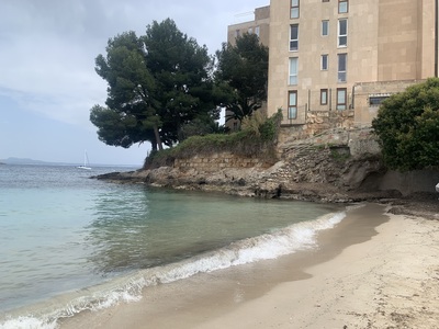 picture of Palma 2026
 Majorca