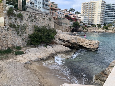 picture of Palma 2026
 Majorca