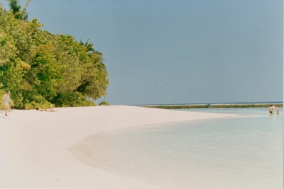 picture of Maldives 1993
 Maldives