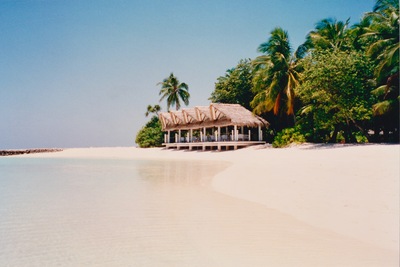 picture of Maldives 1993
 Maldives